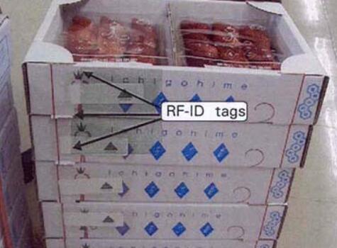 壁画食品RFID实时显示温度系统在线监控运输