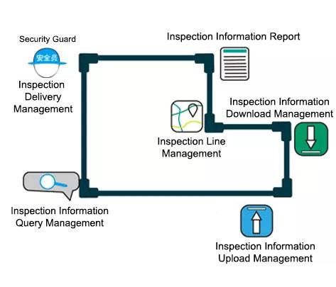 检查information query management