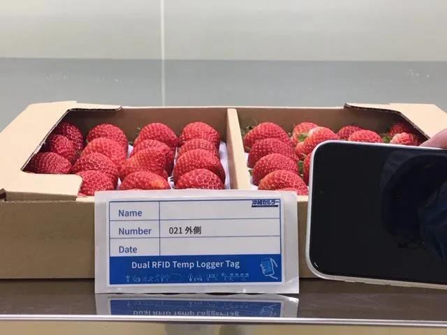 日本草莓工廠採用rfid感測器標籤溫度控制系統